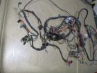 Body wiring harness